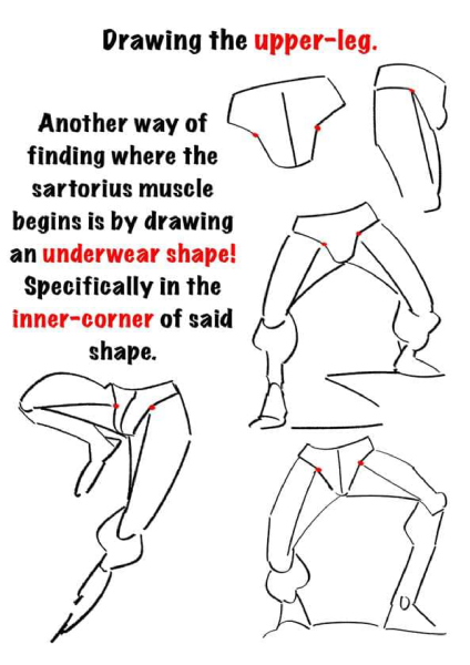 图片[4]-T144-腿部绘画 | Drawing legs-爱画画的卷心菜