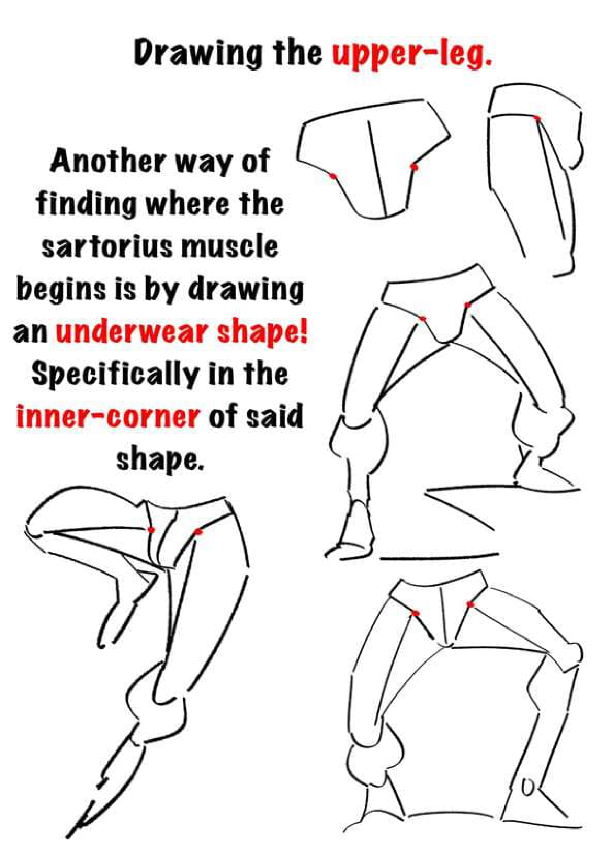 图片[4]-T144-腿部绘画 | Drawing legs-爱画画的卷心菜