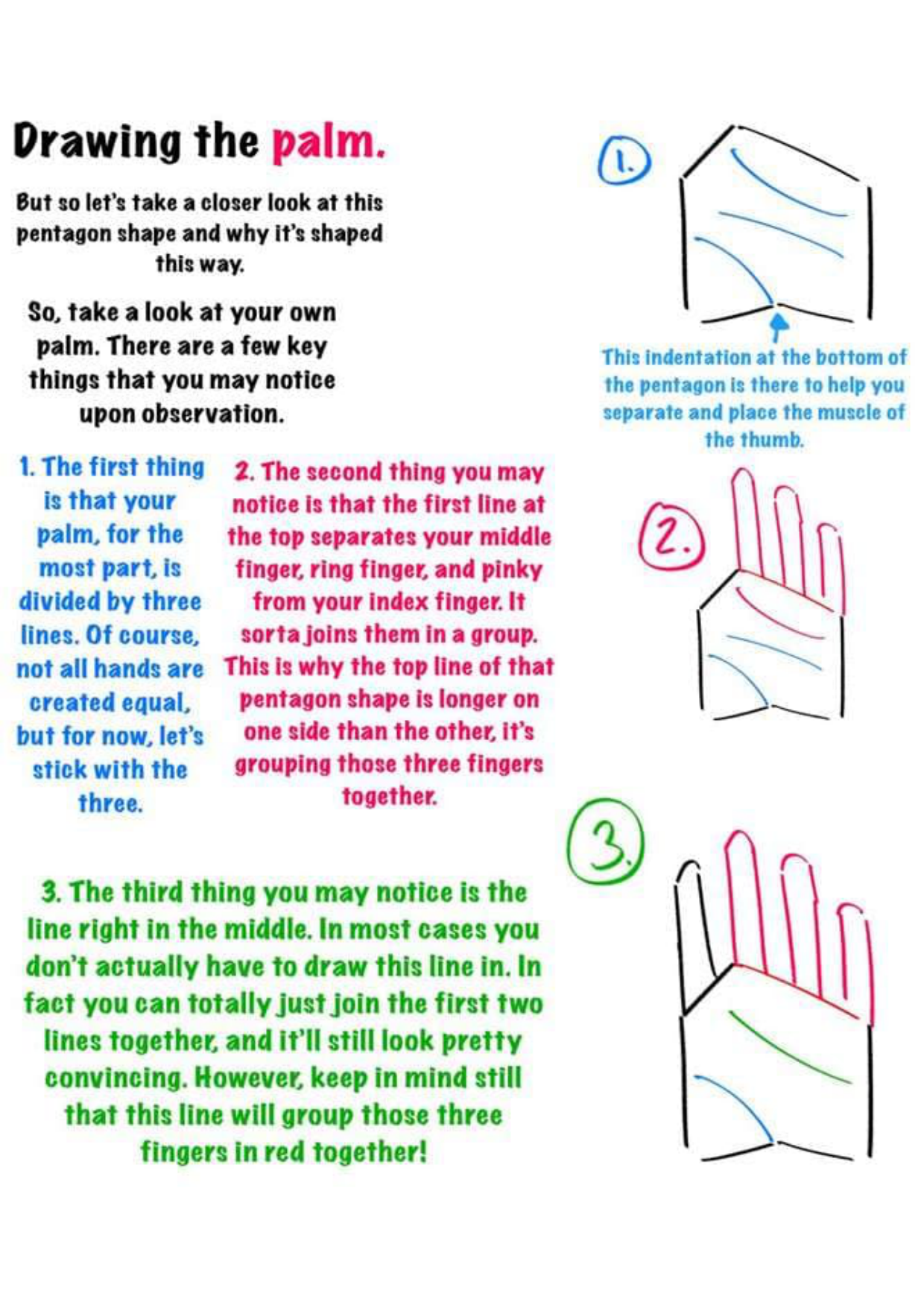 图片[4]-T145-绘制手部的技巧 | Tips for drawing hand-爱画画的卷心菜