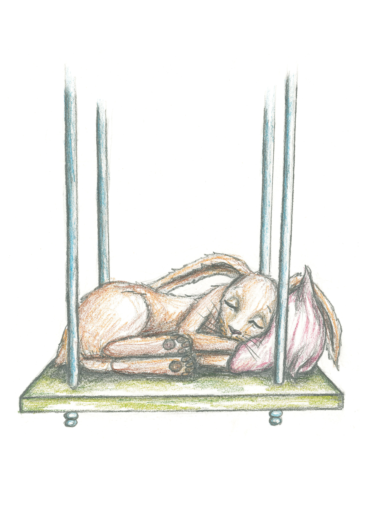 图片[5]-T1263-想要睡着的兔子 | The Rabbit who wants to fall asleep-爱画画的卷心菜