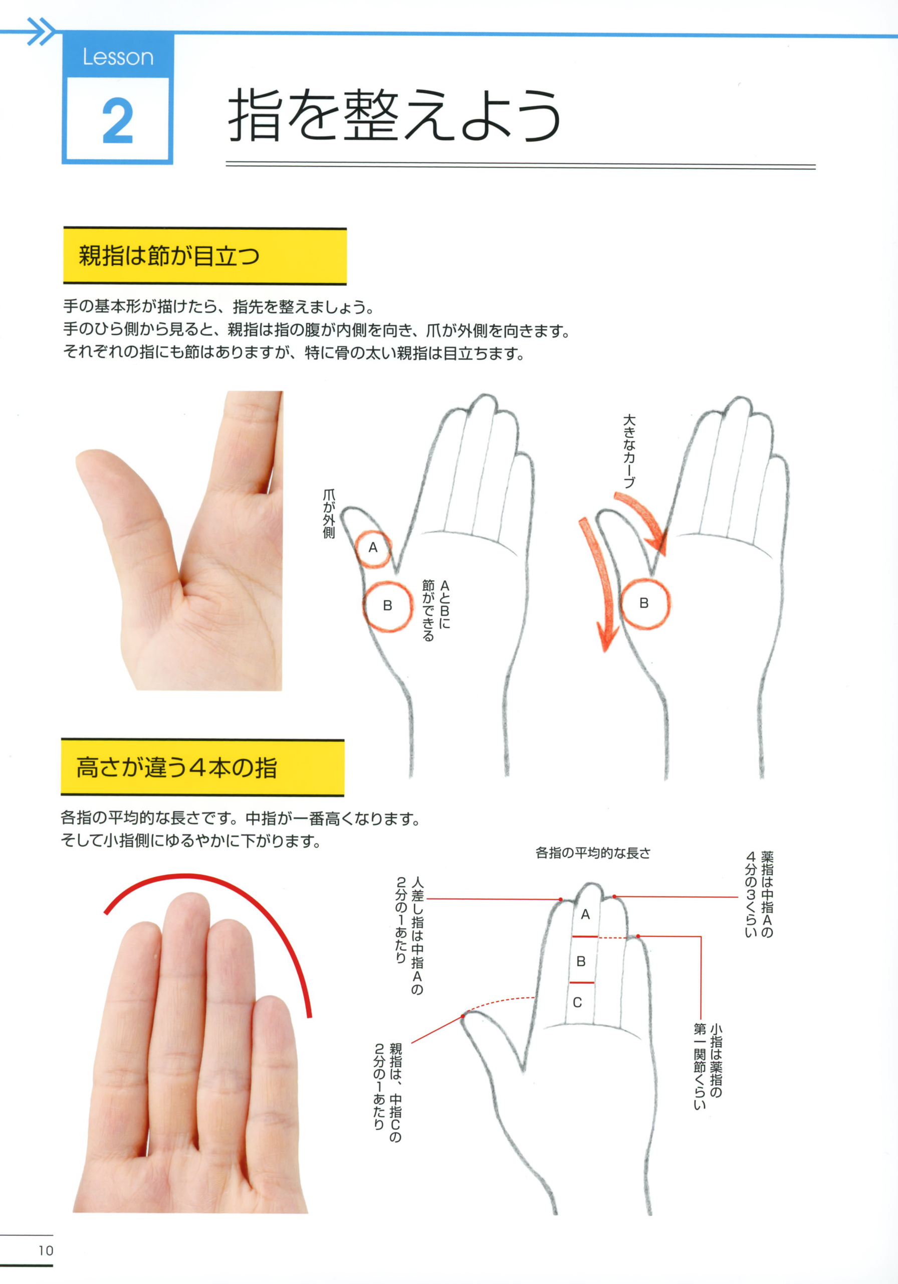 图片[5]-T1298-横沟东子手足绘画精通指南 | Toko Yokomizo Master Guide to Drawing Hands and Feet Thorough-爱画画的卷心菜