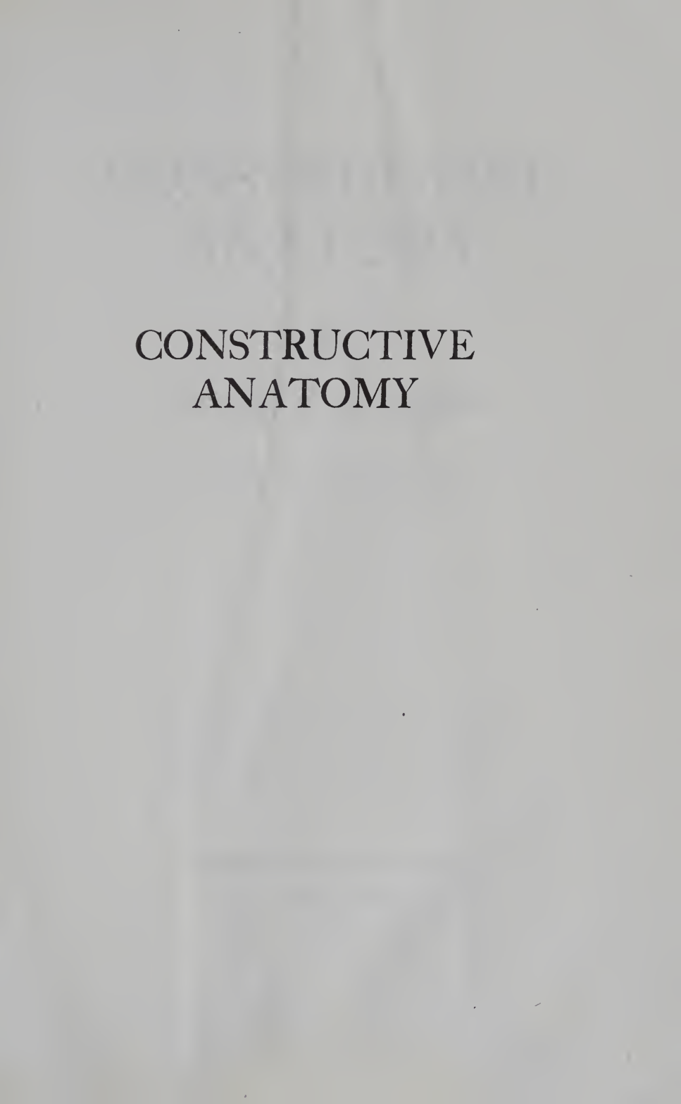 图片[5]-T1436-建设性解剖 收录近500幅插图 George | Constructive Anatomy Includes Nearly 500 Illustrations George-爱画画的卷心菜