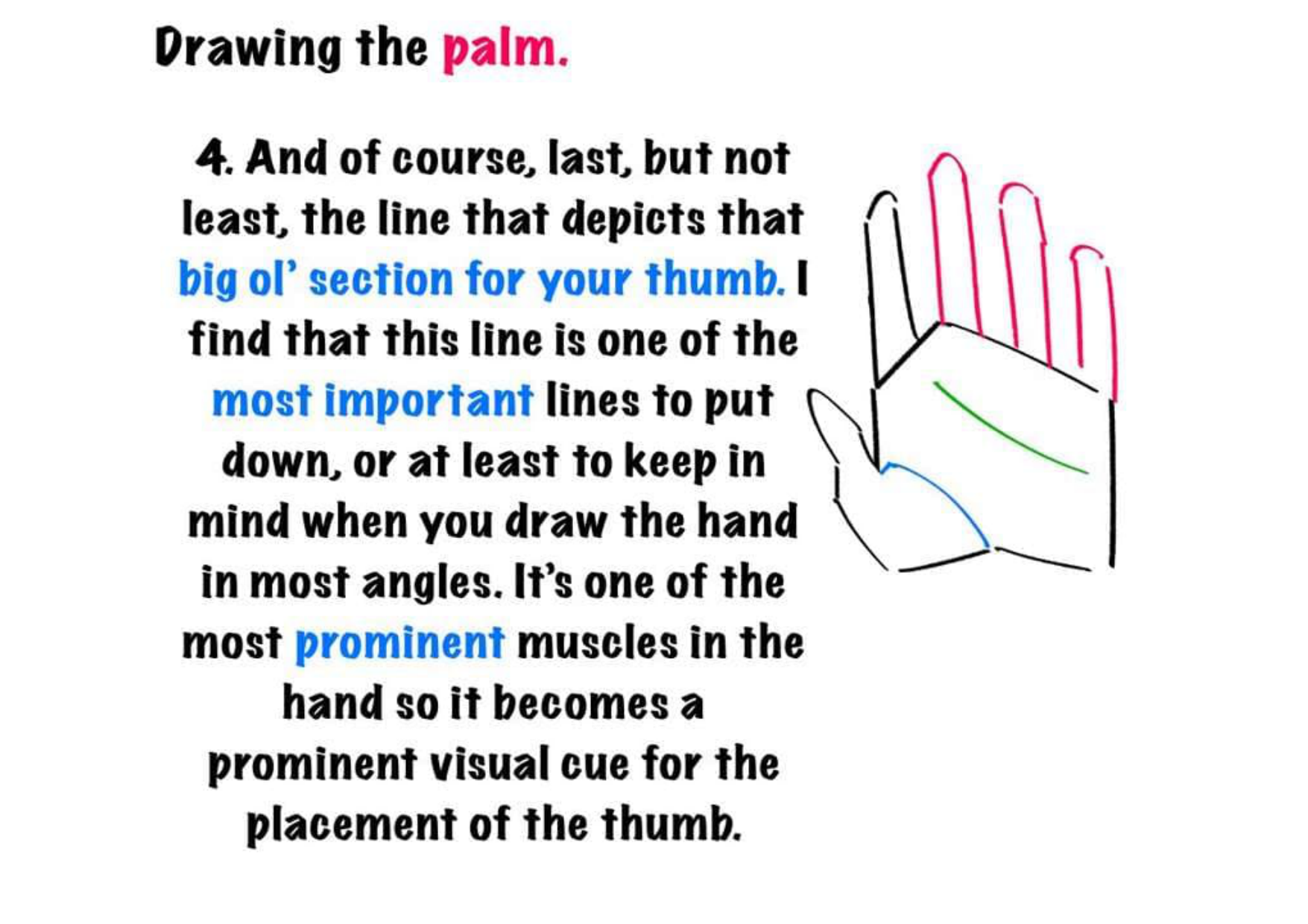 图片[5]-T145-绘制手部的技巧 | Tips for drawing hand-爱画画的卷心菜