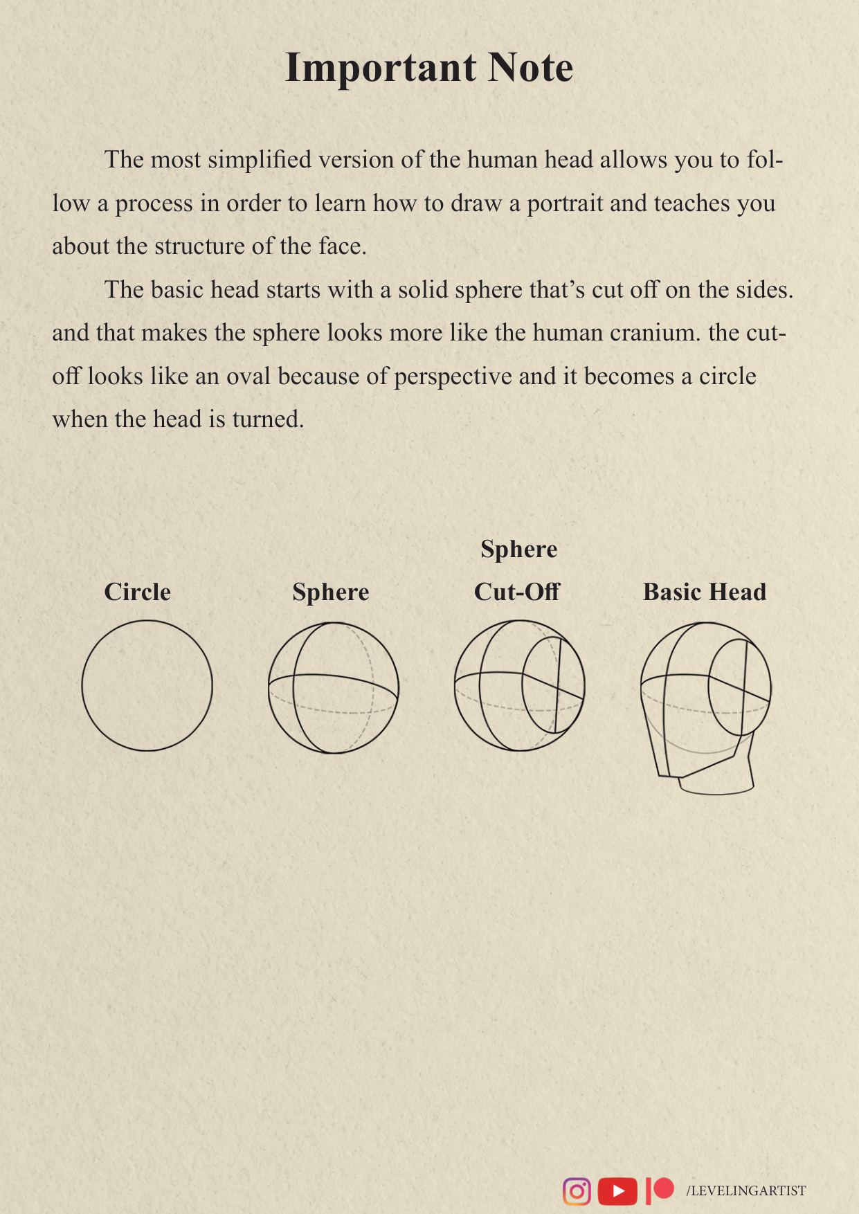 图片[6]-T121-如何绘制肖像 初学者起点 提升艺术家 | How To Draw Portraits Beginner starting point Leveling Artist-爱画画的卷心菜