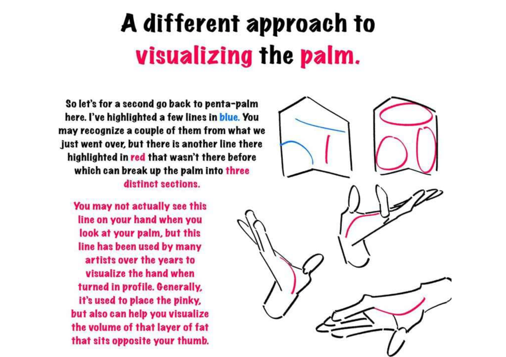 图片[6]-T145-绘制手部的技巧 | Tips for drawing hand-爱画画的卷心菜