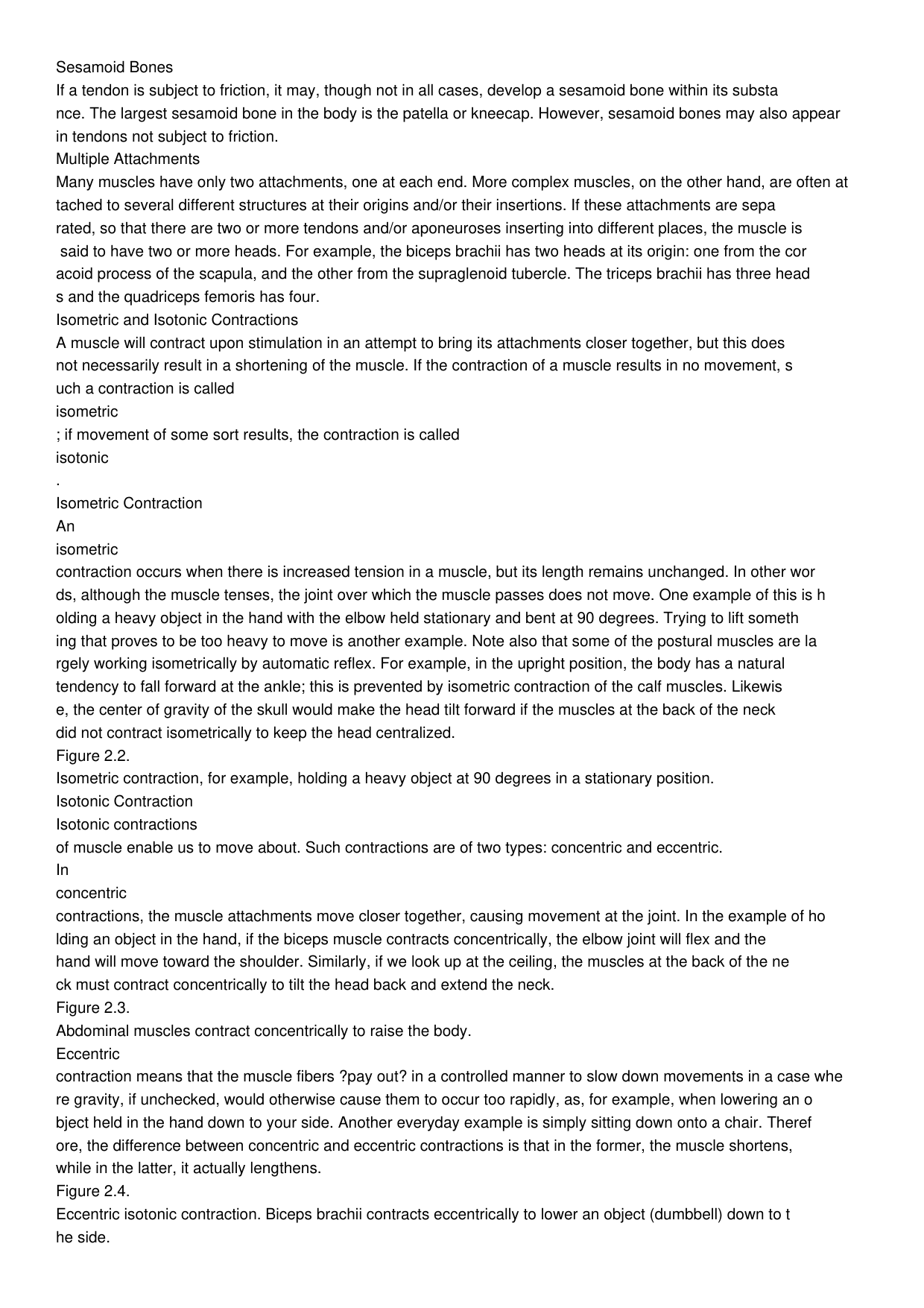 图片[7]-T1094-肌肉简明指南 | The Concise Book of Muscles (Chris Jarmey) (Z-Library)-爱画画的卷心菜