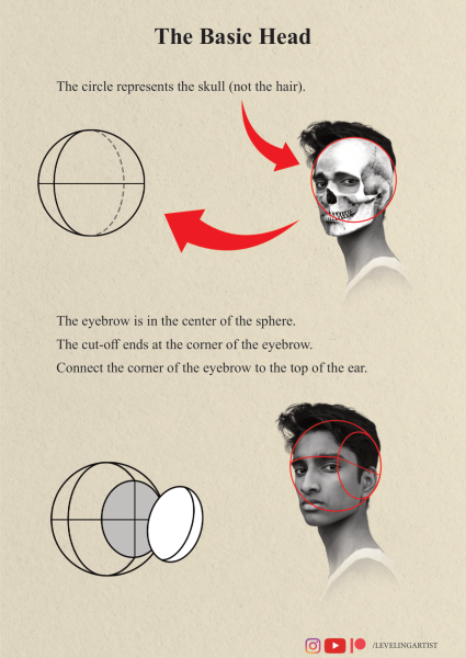 图片[7]-T121-如何绘制肖像 初学者起点 提升艺术家 | How To Draw Portraits Beginner starting point Leveling Artist-爱画画的卷心菜