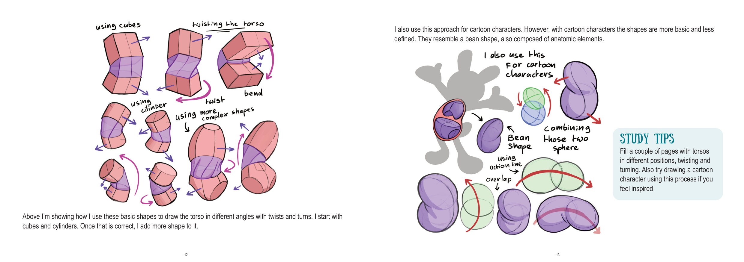 图片[7]-T1279-上半身解剖 | Anatomy Upperbody-爱画画的卷心菜