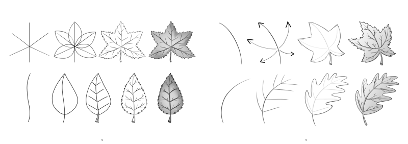 图片[7]-T1334-如何画树 | How to Draw Trees-爱画画的卷心菜