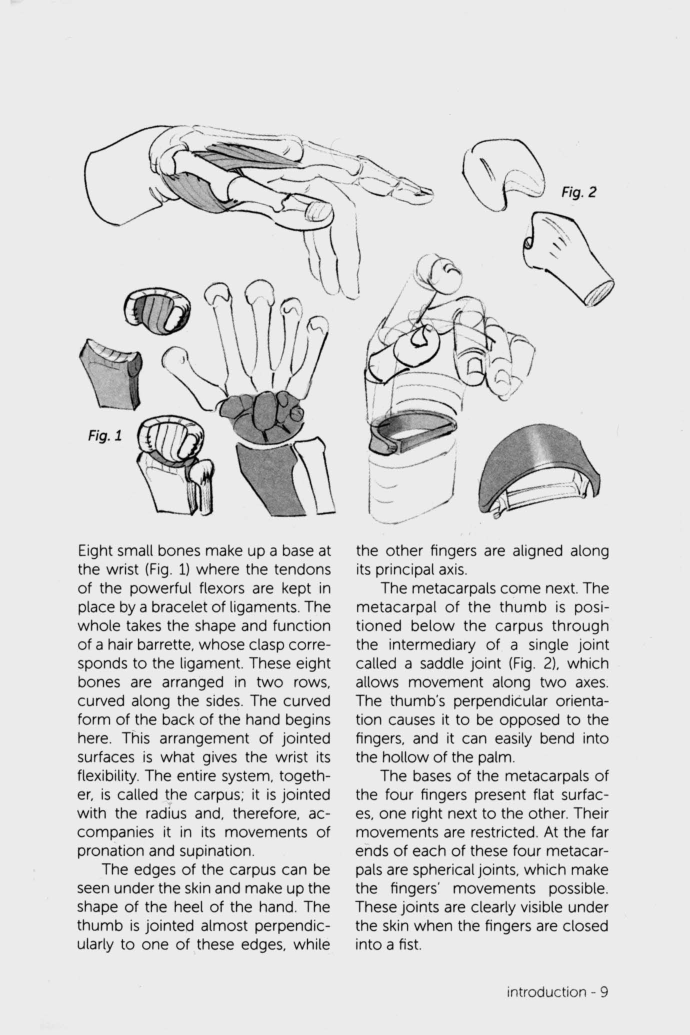 图片[7]-T1025-Lauricella Michel 形态手与脚 | Lauricella, Michel – Morpho Hands and Feet (2019)-爱画画的卷心菜