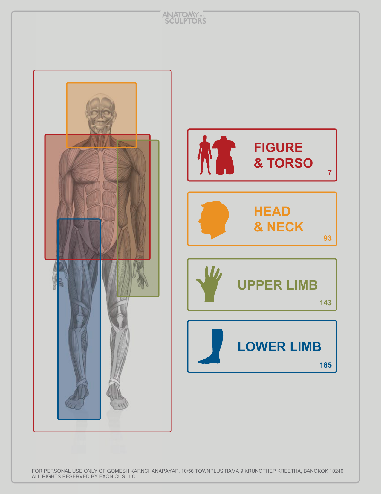 图片[7]-T1028-雕塑师的人体解剖：理解人体形态 | Anatomy for Sculptors, Understanding the Human Figure Uldis Za-爱画画的卷心菜