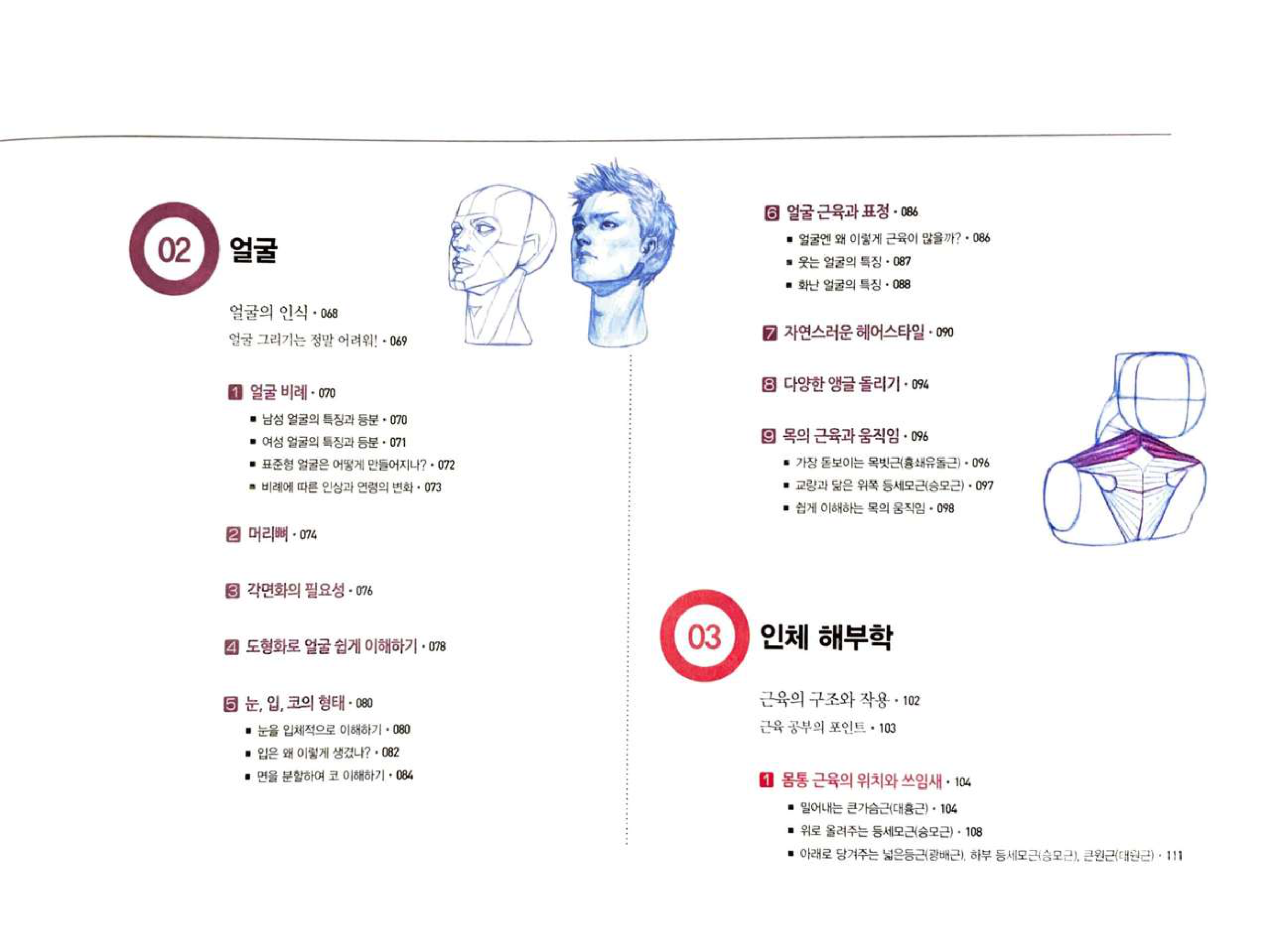 图片[7]-T1435-RockHe Kim 的解剖绘画书 | RockHe Kims Anatomy Drawing Book-爱画画的卷心菜