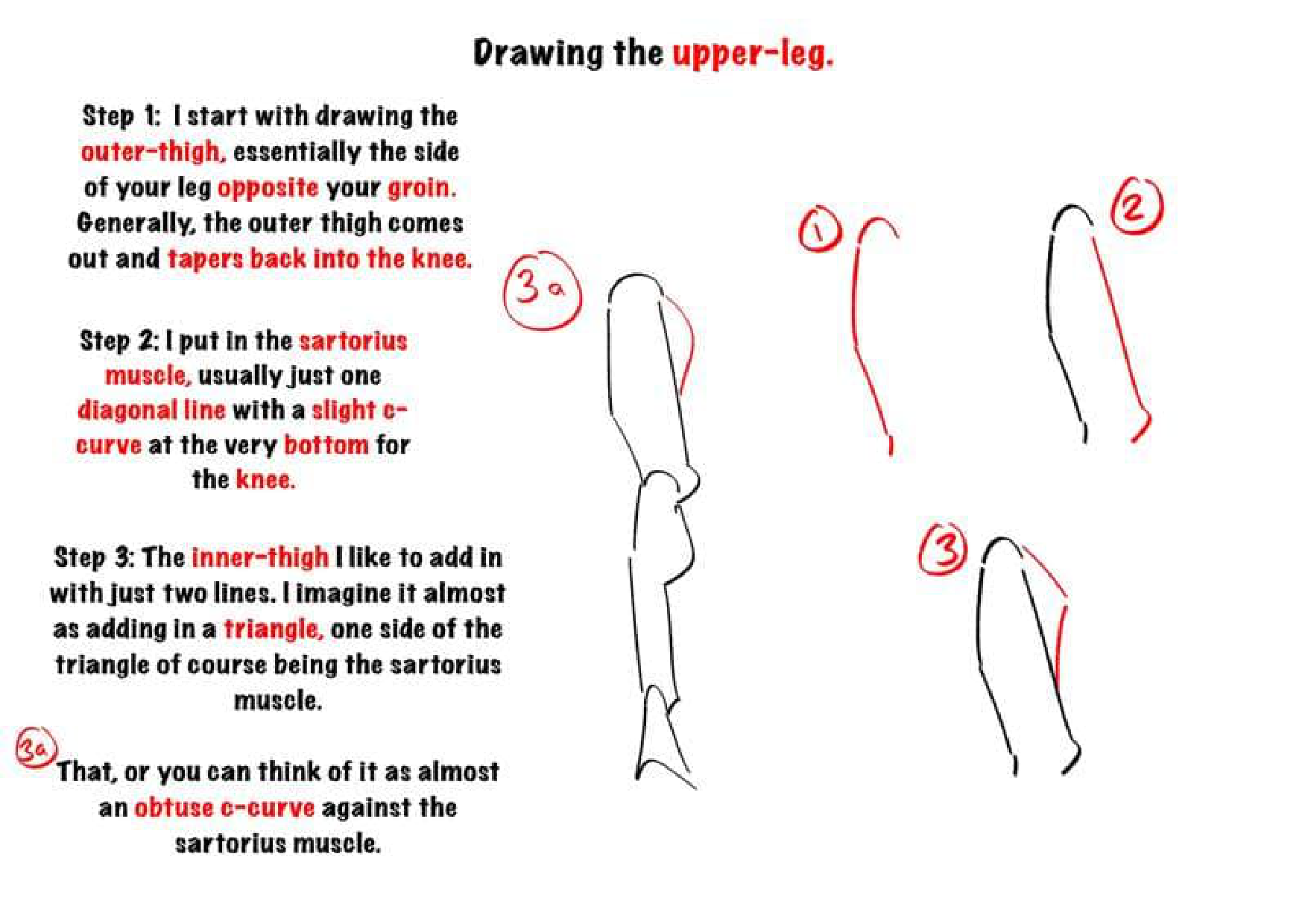 图片[7]-T144-腿部绘画 | Drawing legs-爱画画的卷心菜