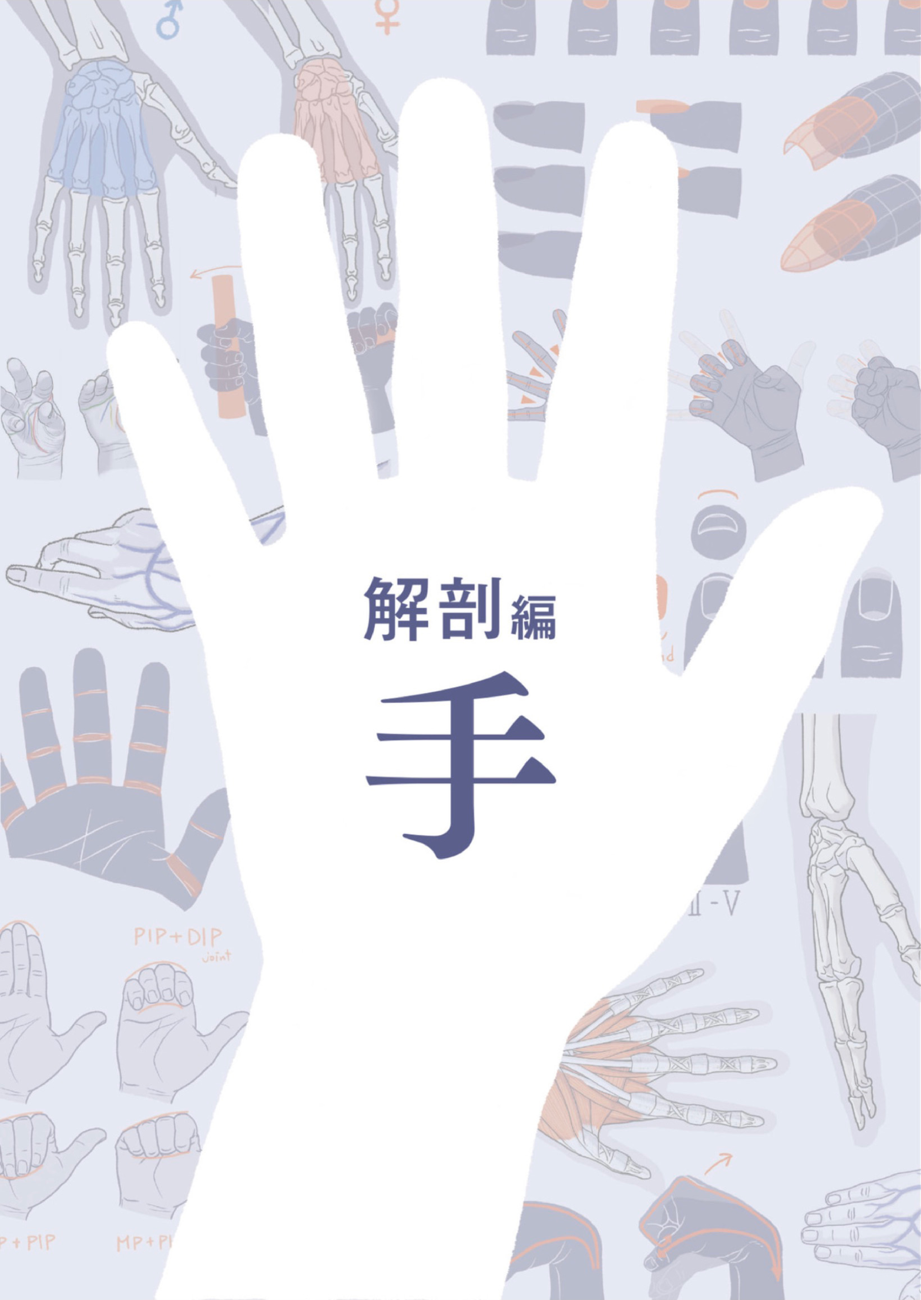 图片[8]-T1163-Kota Kato手与脚的艺术解剖 | Art Anatomy of Hand + Foot by Kota Kato-爱画画的卷心菜