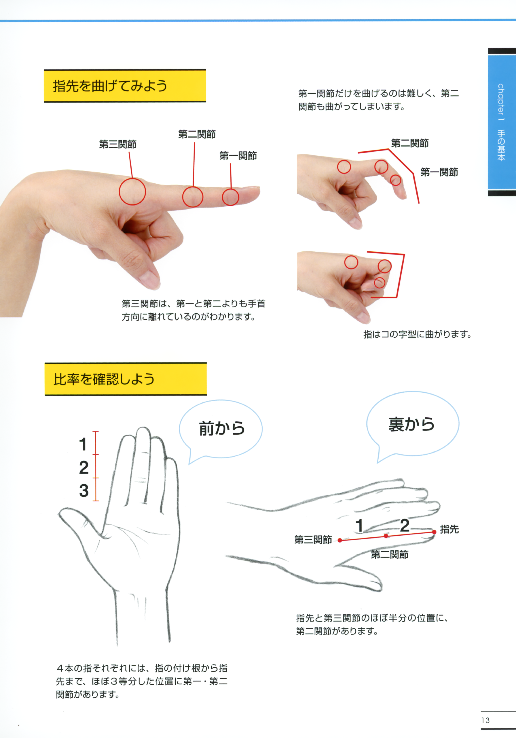 图片[8]-T1193-横沟由纪子手脚的画法大师指南绘画李 | Yokomizo Yukiko Teashi no Kakikata Master Guide How to Draw Li-爱画画的卷心菜