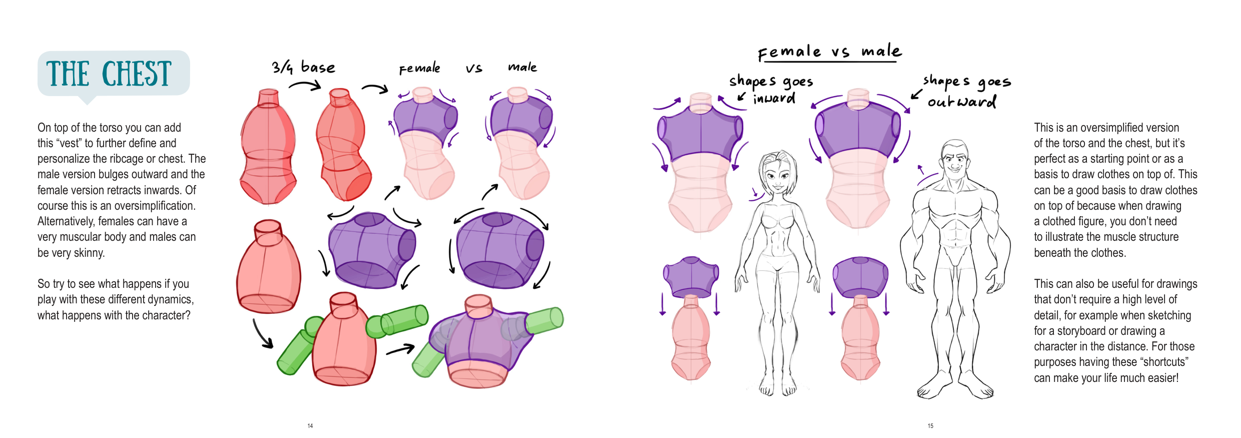 图片[8]-T1279-上半身解剖 | Anatomy Upperbody-爱画画的卷心菜