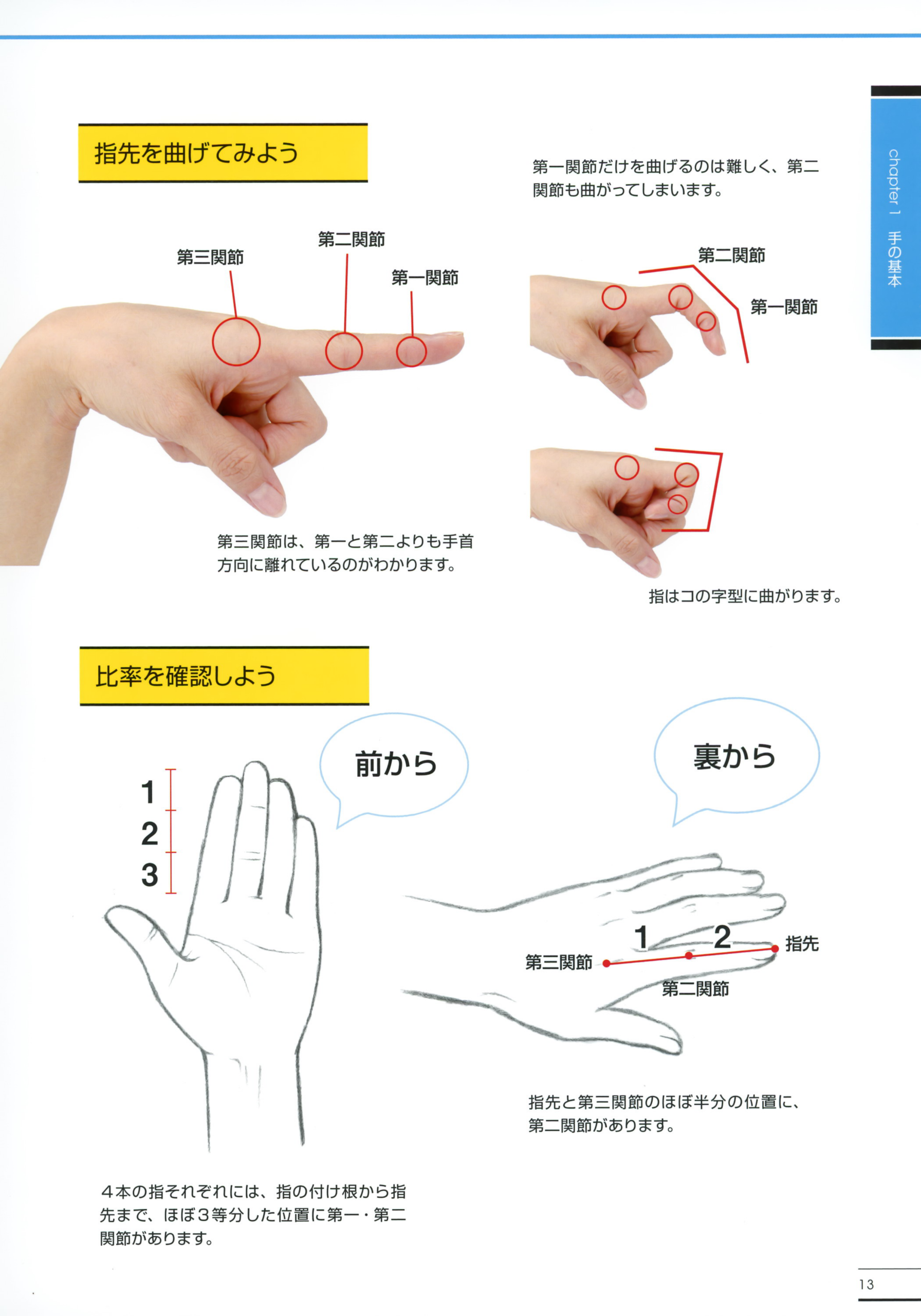 图片[8]-T1298-横沟东子手足绘画精通指南 | Toko Yokomizo Master Guide to Drawing Hands and Feet Thorough-爱画画的卷心菜
