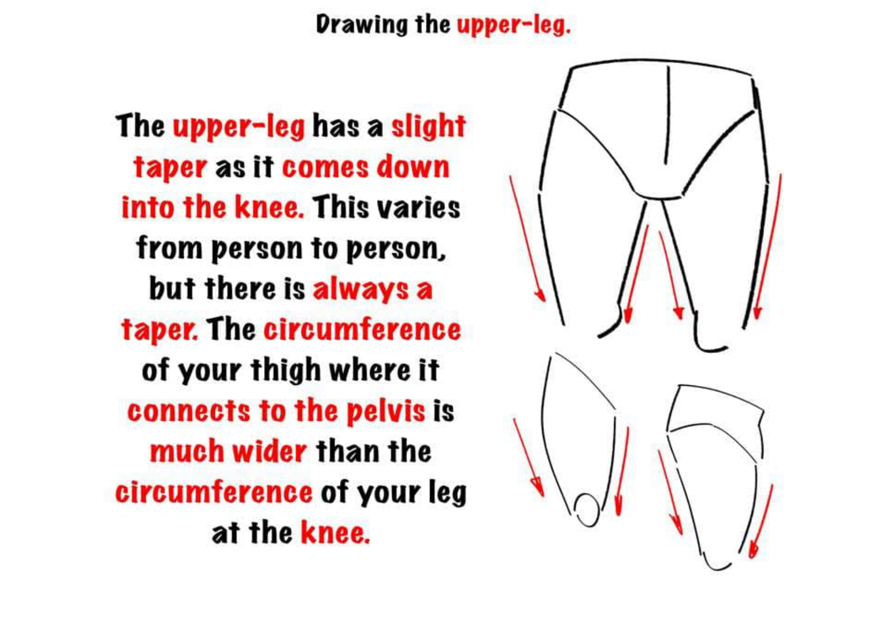 图片[8]-T144-腿部绘画 | Drawing legs-爱画画的卷心菜
