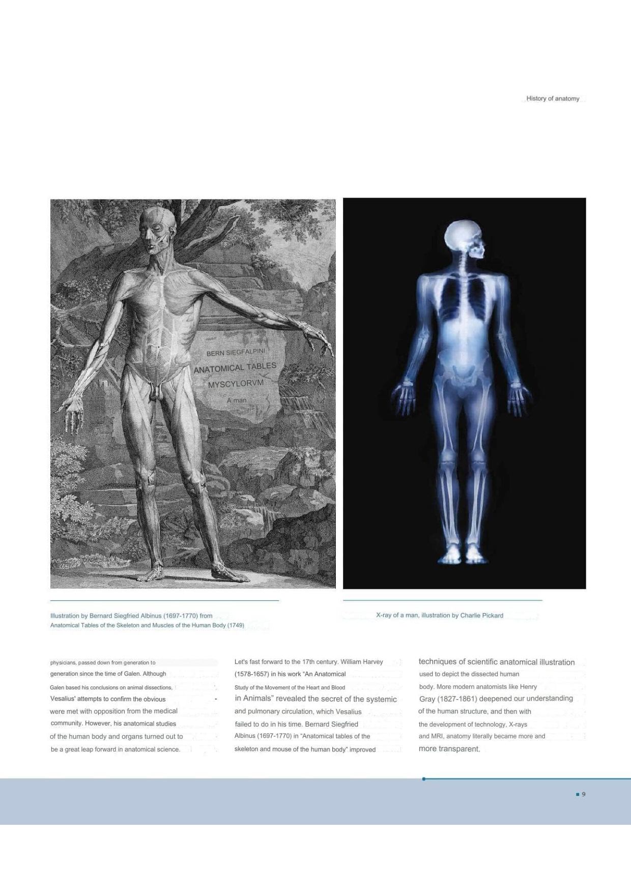 图片[9]-T100-艺术家解剖学 3D出版 | Anatomy for Artists- 3D publishing-爱画画的卷心菜