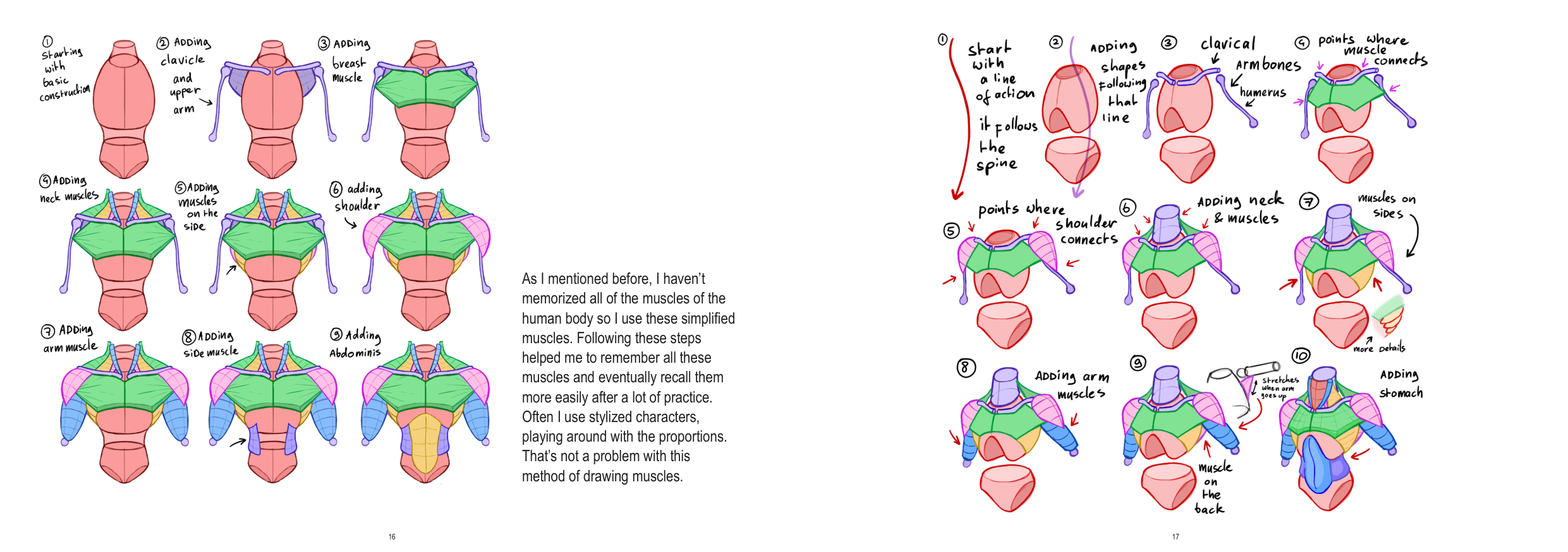 图片[9]-T1279-上半身解剖 | Anatomy Upperbody-爱画画的卷心菜