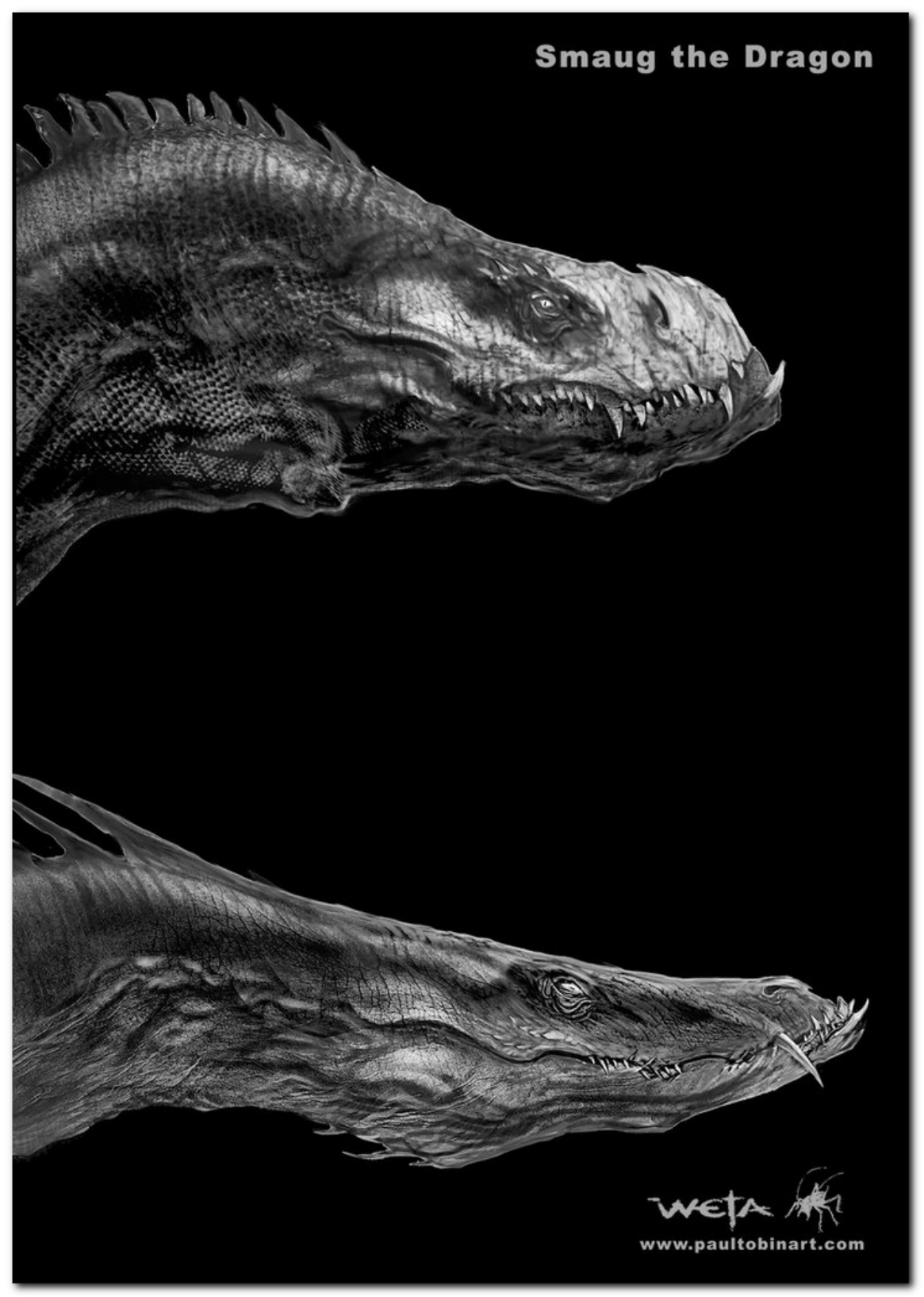图片[8]-T13-霍比特人：史矛革荒漠编年史艺术与设计 | The Hobbit The Desolation of Smaug Chronicles Art & Design-爱画画的卷心菜