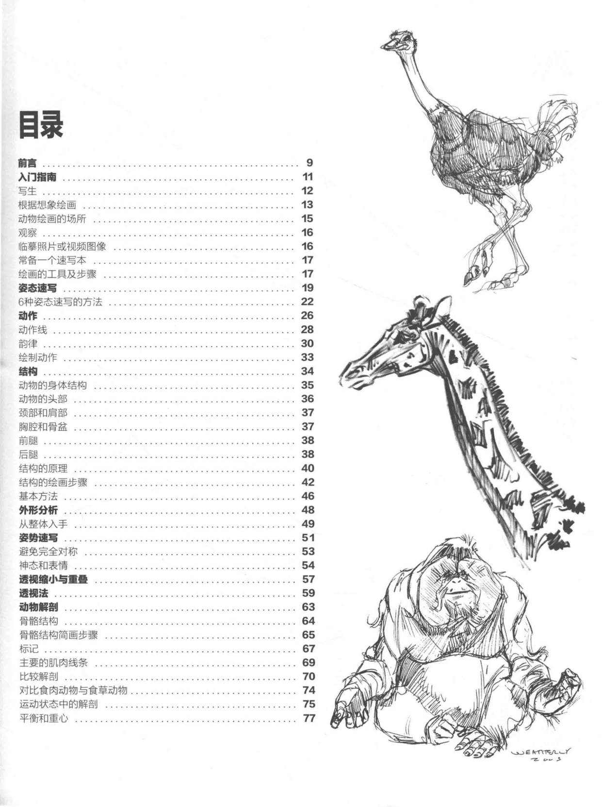 图片[9]-T1307-中文版《Weatherly动物绘画指南》Joe Weatherly | Chinese Version Weatherly Guide to Drawing Animals Joe Weather-爱画画的卷心菜