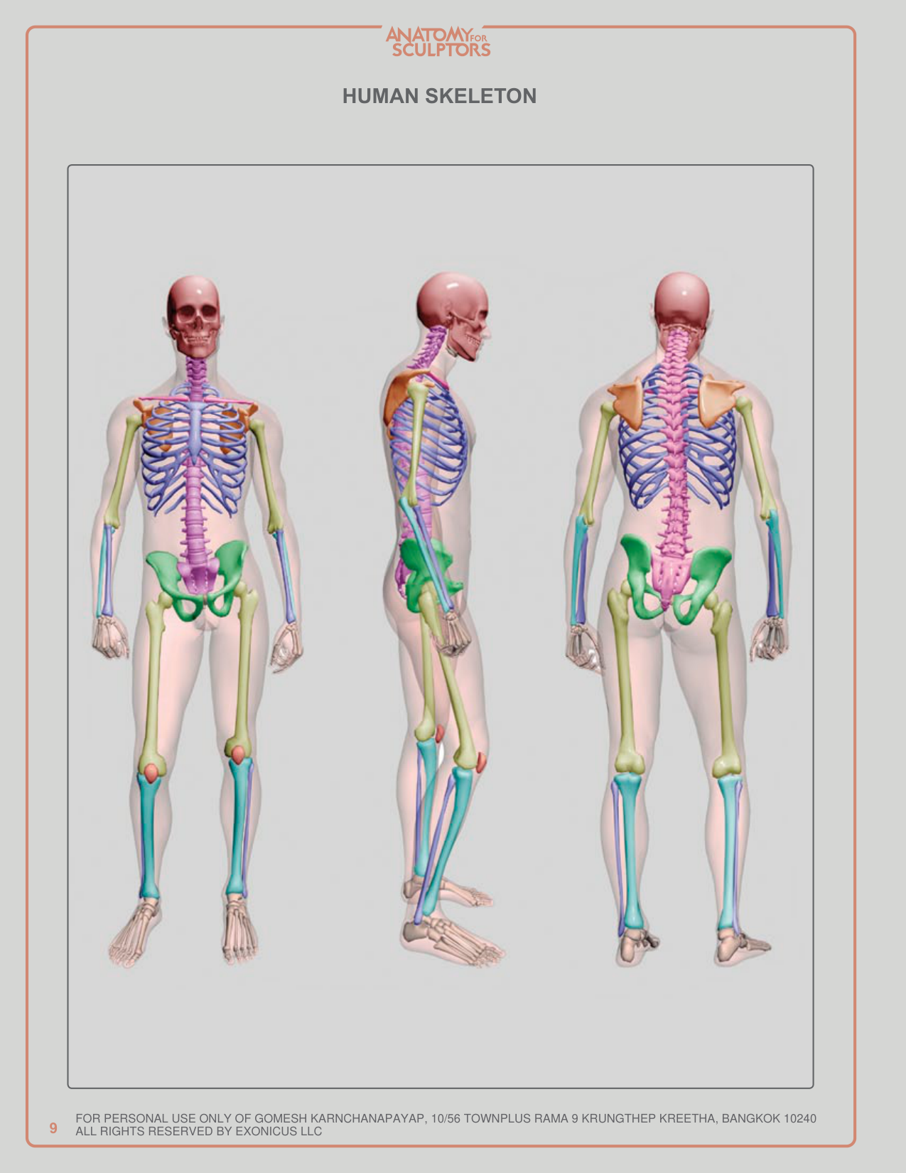 图片[9]-T1028-雕塑师的人体解剖：理解人体形态 | Anatomy for Sculptors, Understanding the Human Figure Uldis Za-爱画画的卷心菜