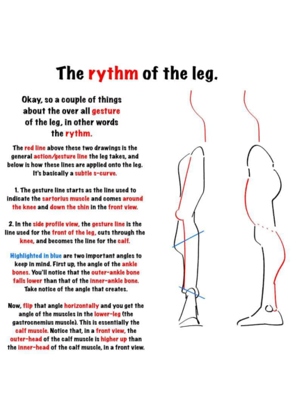 图片[9]-T144-腿部绘画 | Drawing legs-爱画画的卷心菜