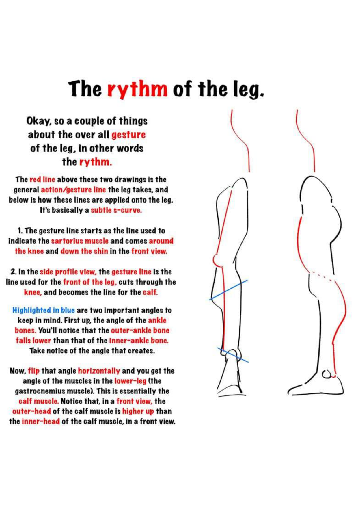 图片[9]-T144-腿部绘画 | Drawing legs-爱画画的卷心菜