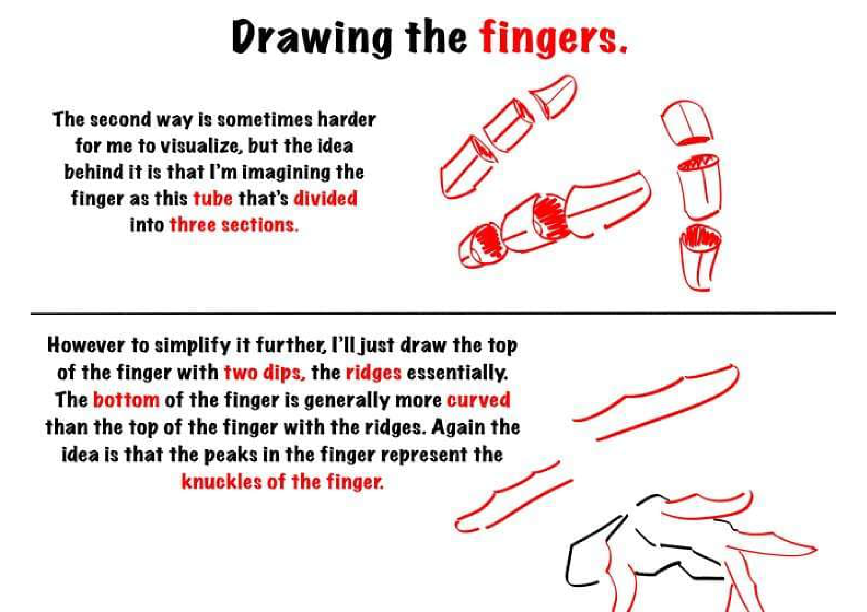 图片[9]-T145-绘制手部的技巧 | Tips for drawing hand-爱画画的卷心菜