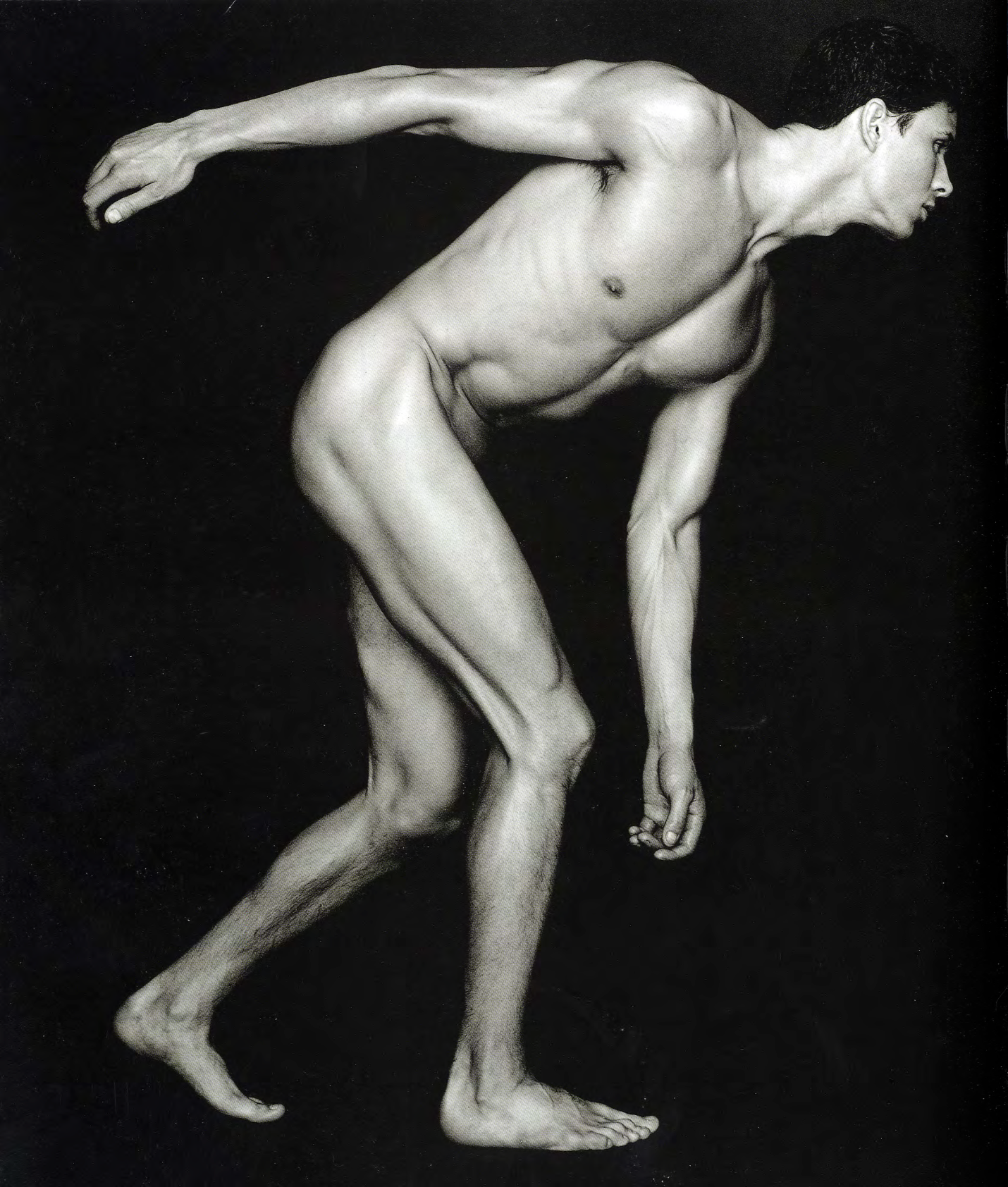图片[9]-T1053-解剖学 | Anatomy-爱画画的卷心菜