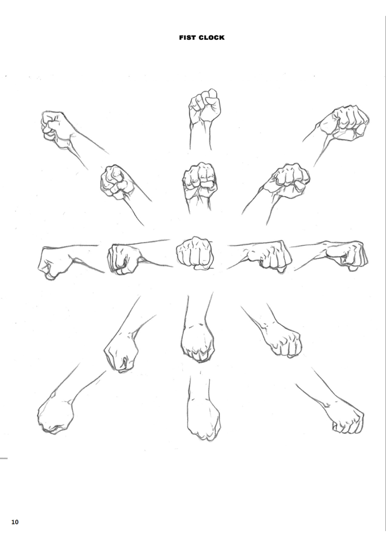图片[10]-T1140-解剖大师 | Masters of Anatomy-爱画画的卷心菜