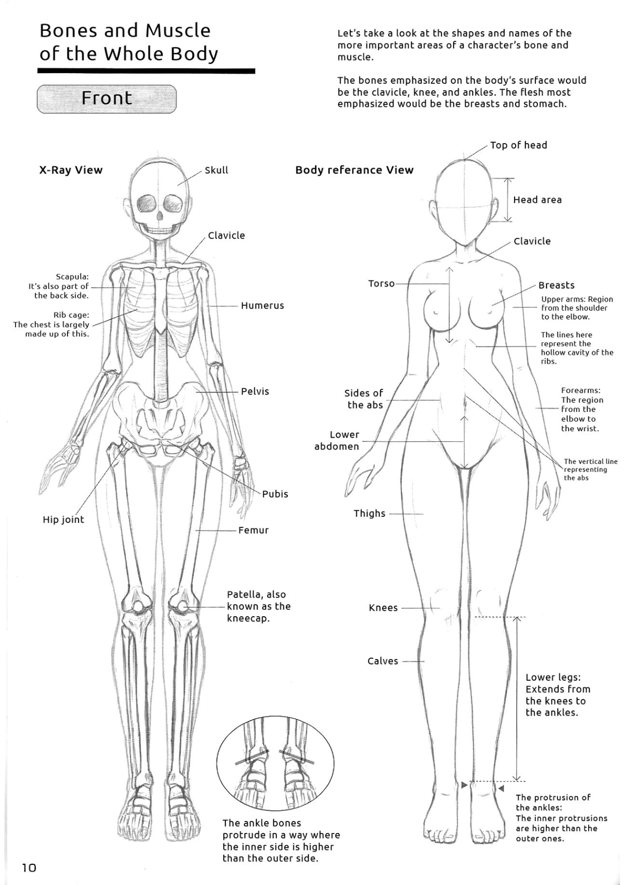 图片[10]-T1184-女孩子身体的绘制方法 性感表现技巧 林晃go工作室 English Hikaru Hayashi 20 | 女の子のカラダの描き方 色っぽく見せるテクニック 林晃go office English Hikaru Hayashi 20-爱画画的卷心菜