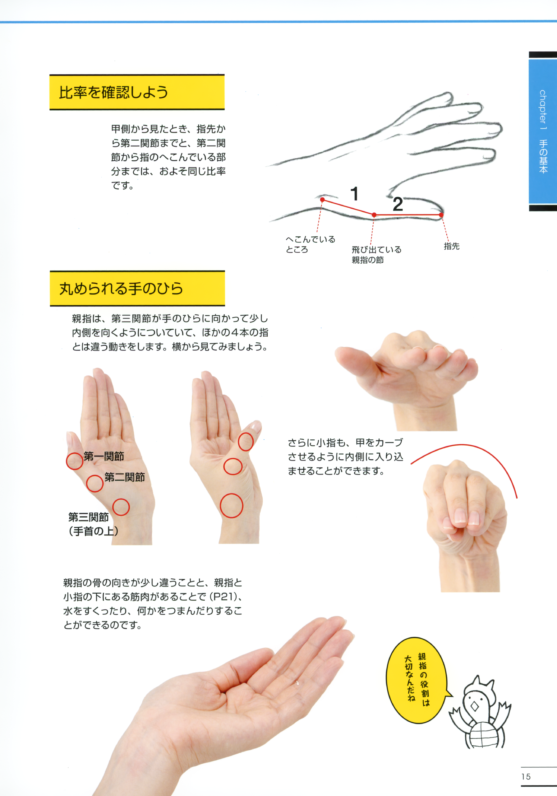 图片[10]-T1193-横沟由纪子手脚的画法大师指南绘画李 | Yokomizo Yukiko Teashi no Kakikata Master Guide How to Draw Li-爱画画的卷心菜
