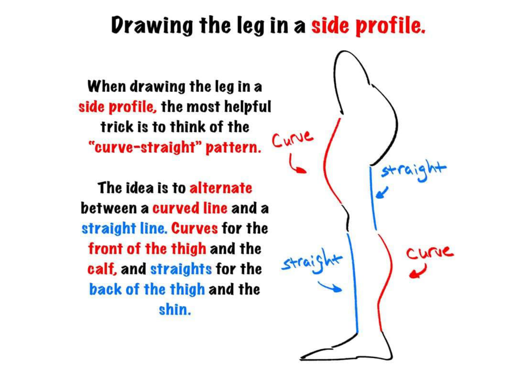 图片[10]-T144-腿部绘画 | Drawing legs-爱画画的卷心菜
