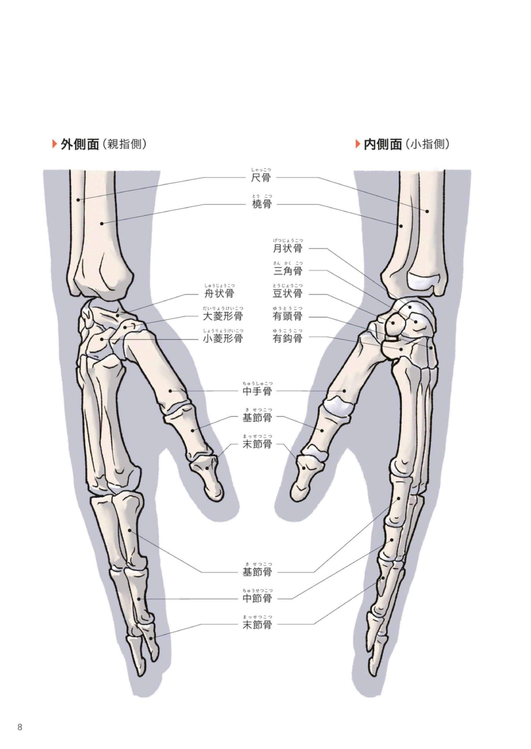 图片[11]-T1163-Kota Kato手与脚的艺术解剖 | Art Anatomy of Hand + Foot by Kota Kato-爱画画的卷心菜