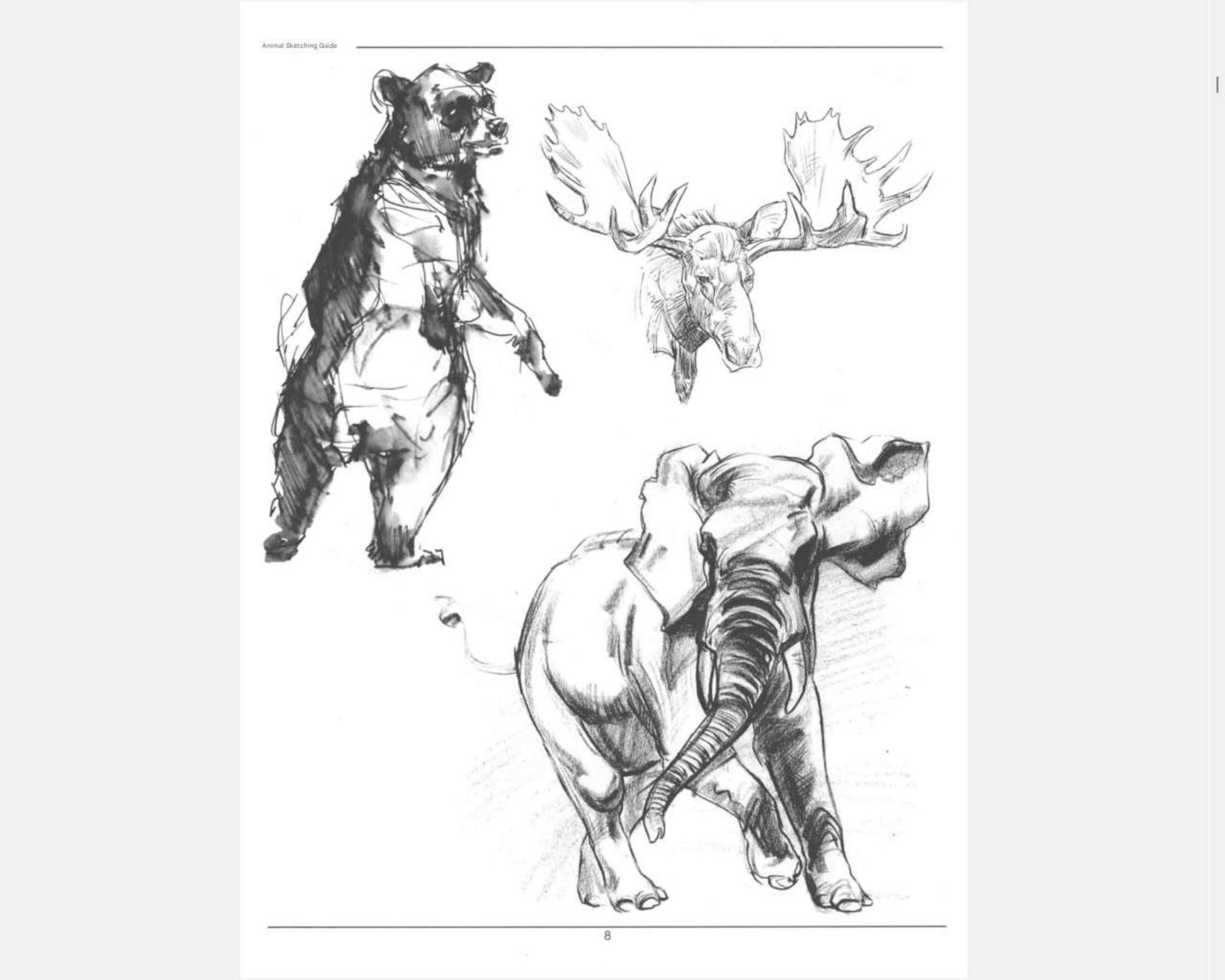 图片[11]-T1256-《Weatherly动物绘画指南》 | Weatherly guide of Animal Drawing-爱画画的卷心菜