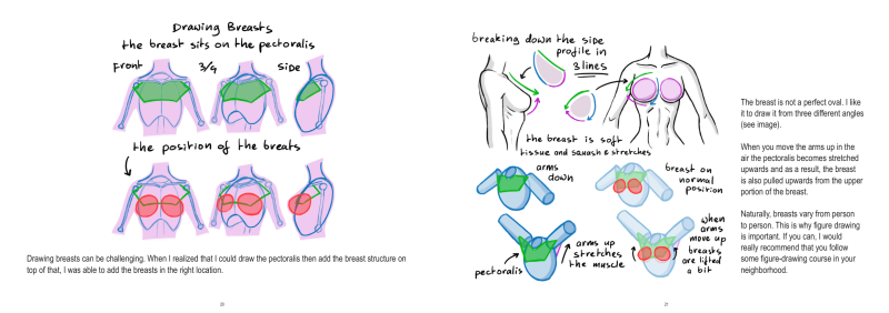 图片[11]-T1279-上半身解剖 | Anatomy Upperbody-爱画画的卷心菜