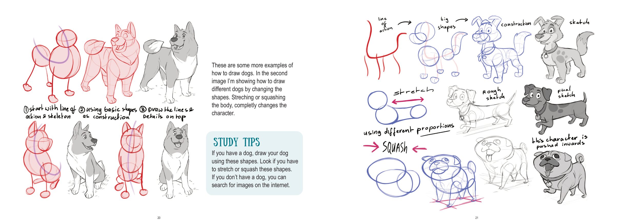 图片[11]-T1285-动物角色绘画教程 | How to draw Animal Characters-爱画画的卷心菜