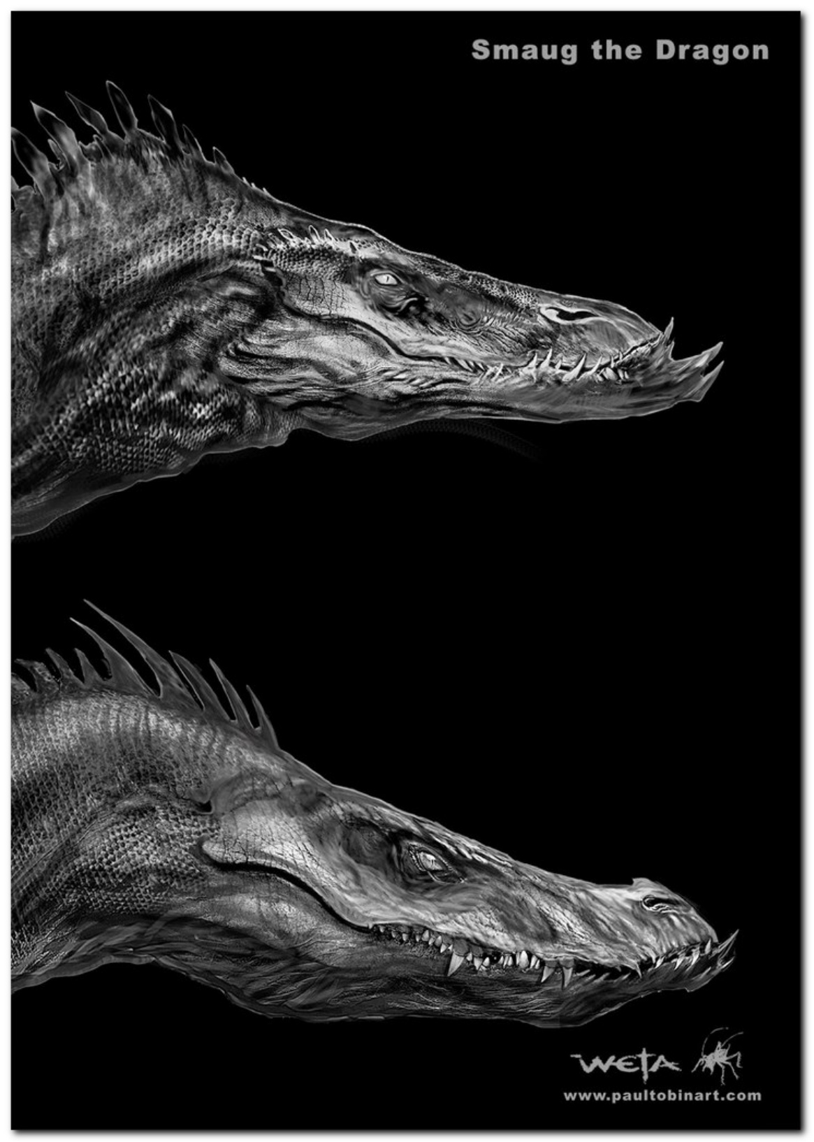 图片[10]-T13-霍比特人：史矛革荒漠编年史艺术与设计 | The Hobbit The Desolation of Smaug Chronicles Art & Design-爱画画的卷心菜