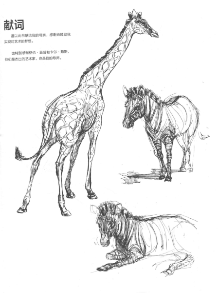 图片[11]-T1307-中文版《Weatherly动物绘画指南》Joe Weatherly | Chinese Version Weatherly Guide to Drawing Animals Joe Weather-爱画画的卷心菜
