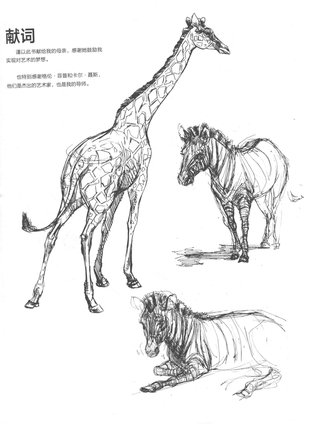 图片[11]-T1307-中文版《Weatherly动物绘画指南》Joe Weatherly | Chinese Version Weatherly Guide to Drawing Animals Joe Weather-爱画画的卷心菜