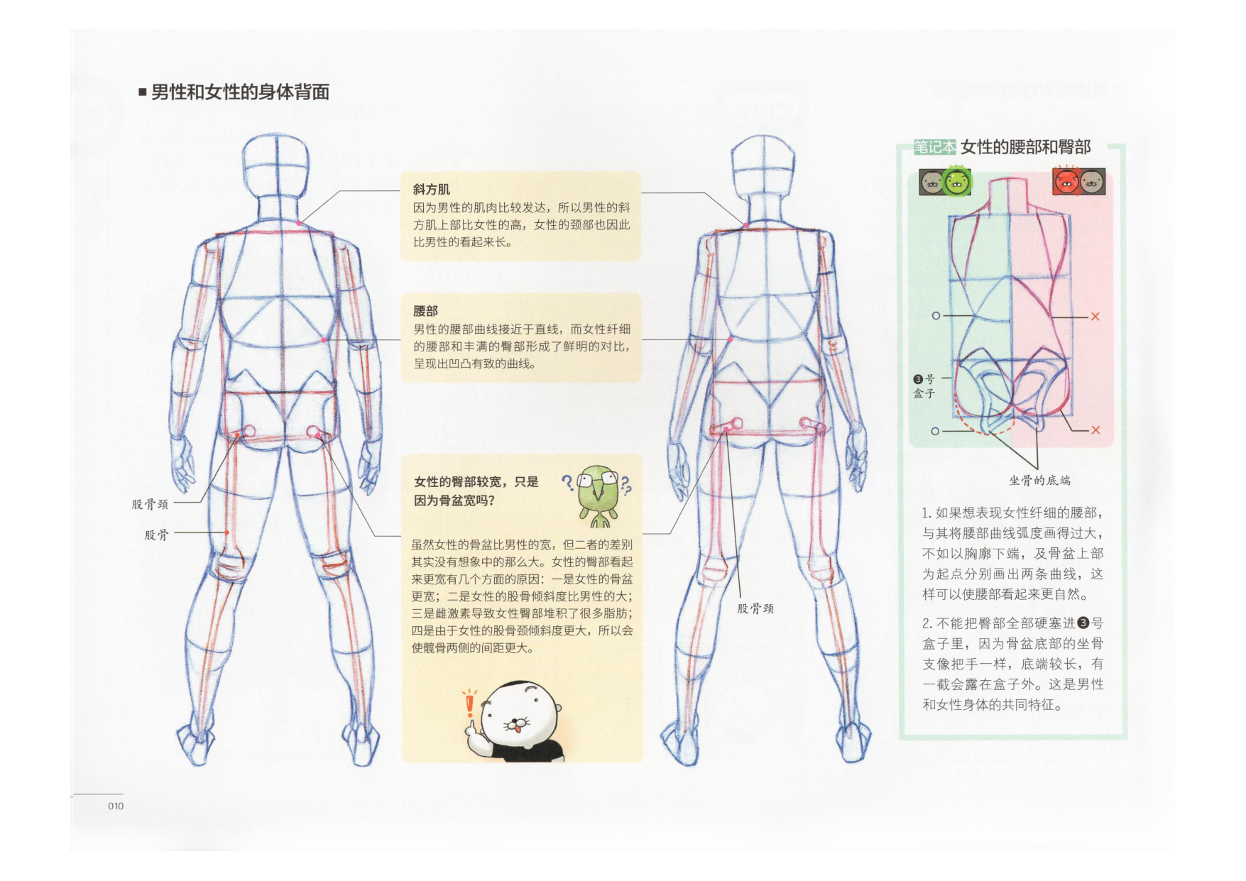 图片[11]-T1311-艺用动态解剖 | 艺用动态解剖 (金乐熹)-爱画画的卷心菜
