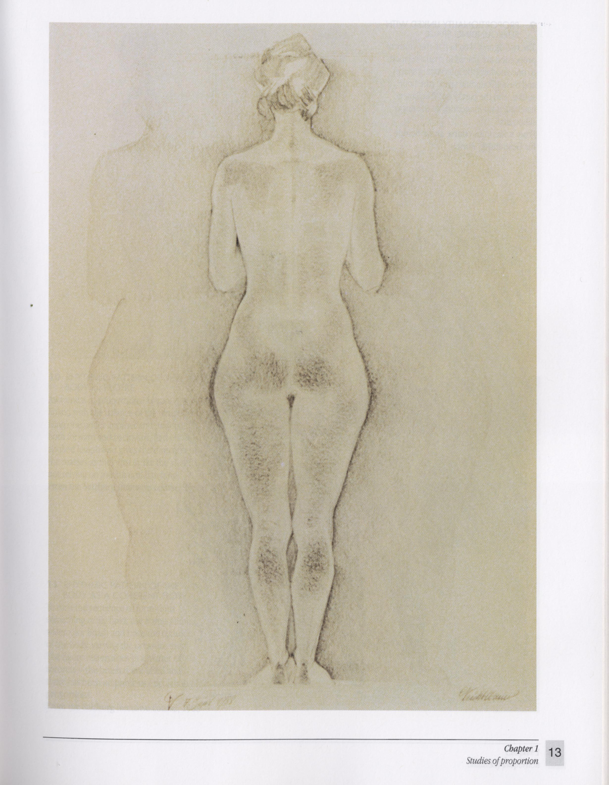 图片[11]-T1021-Gottfried Bammes 人体解剖学艺术家指南 | Gottfried Bammes – The Artist’s Guide to Human Anatomy-爱画画的卷心菜
