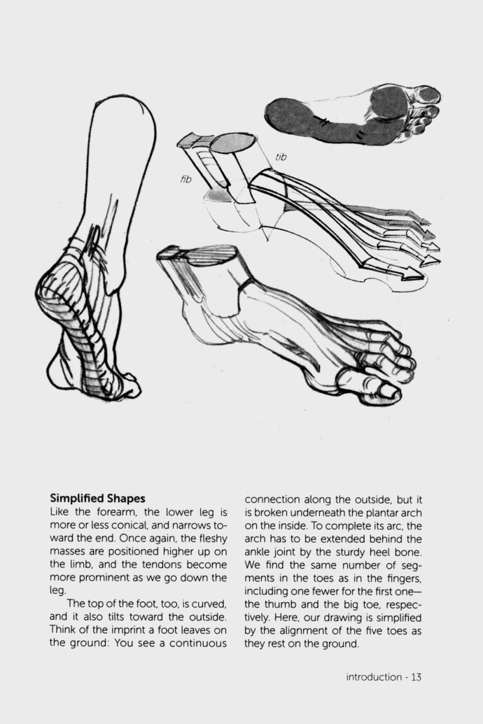 图片[11]-T1025-Lauricella Michel 形态手与脚 | Lauricella, Michel – Morpho Hands and Feet (2019)-爱画画的卷心菜