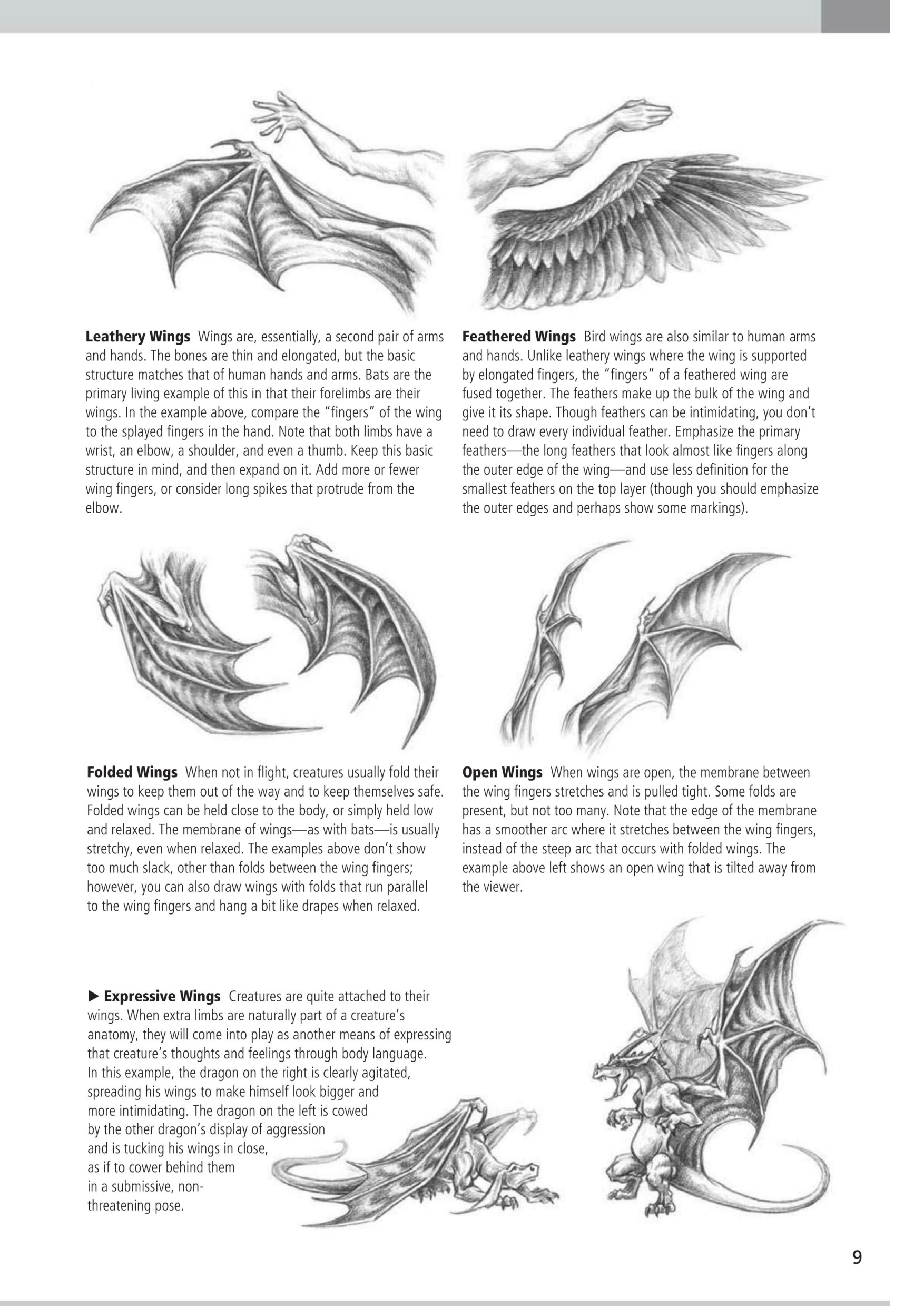 图片[11]-T1416-沃尔特·福斯特创意团队——轻松绘画 | Walter Foster Creative Team – Drawing Made Easy-爱画画的卷心菜