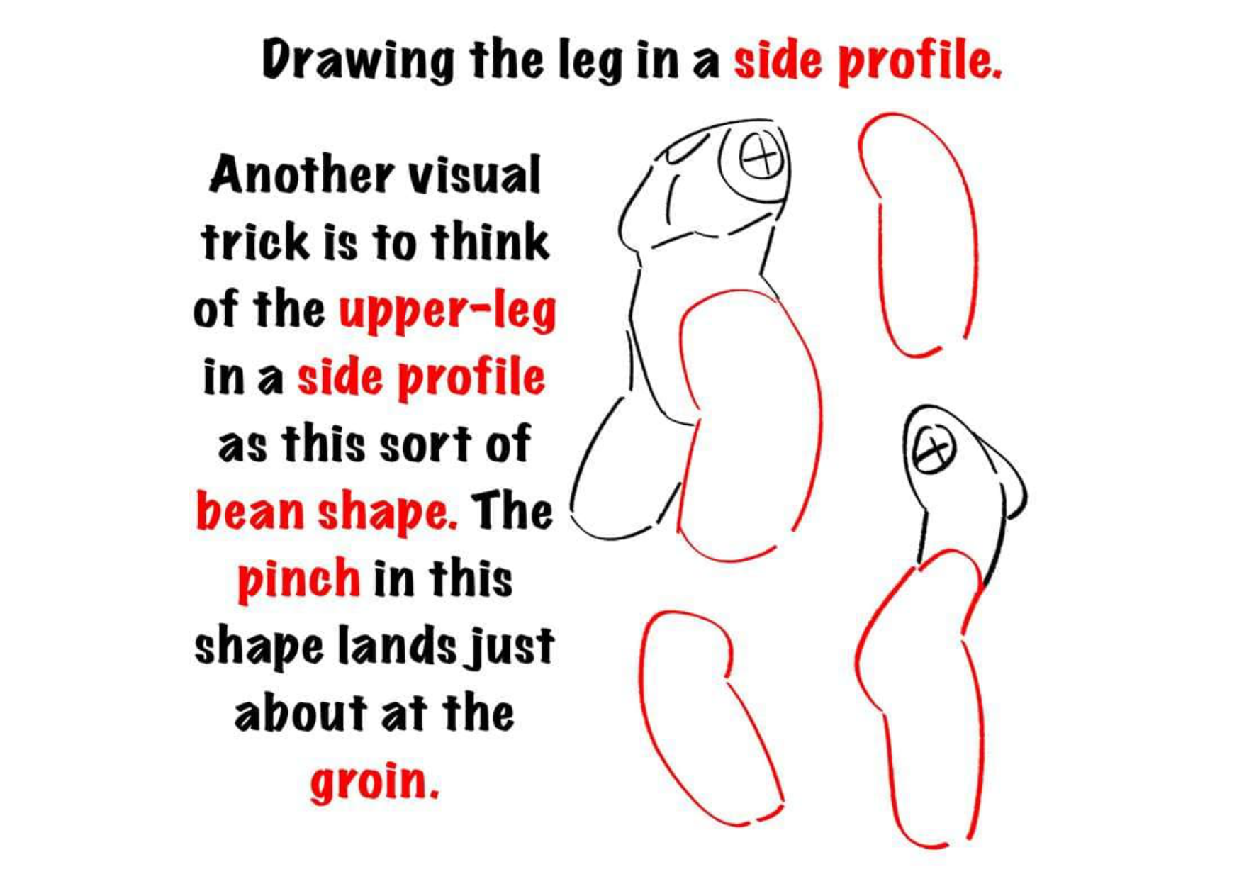 图片[11]-T144-腿部绘画 | Drawing legs-爱画画的卷心菜