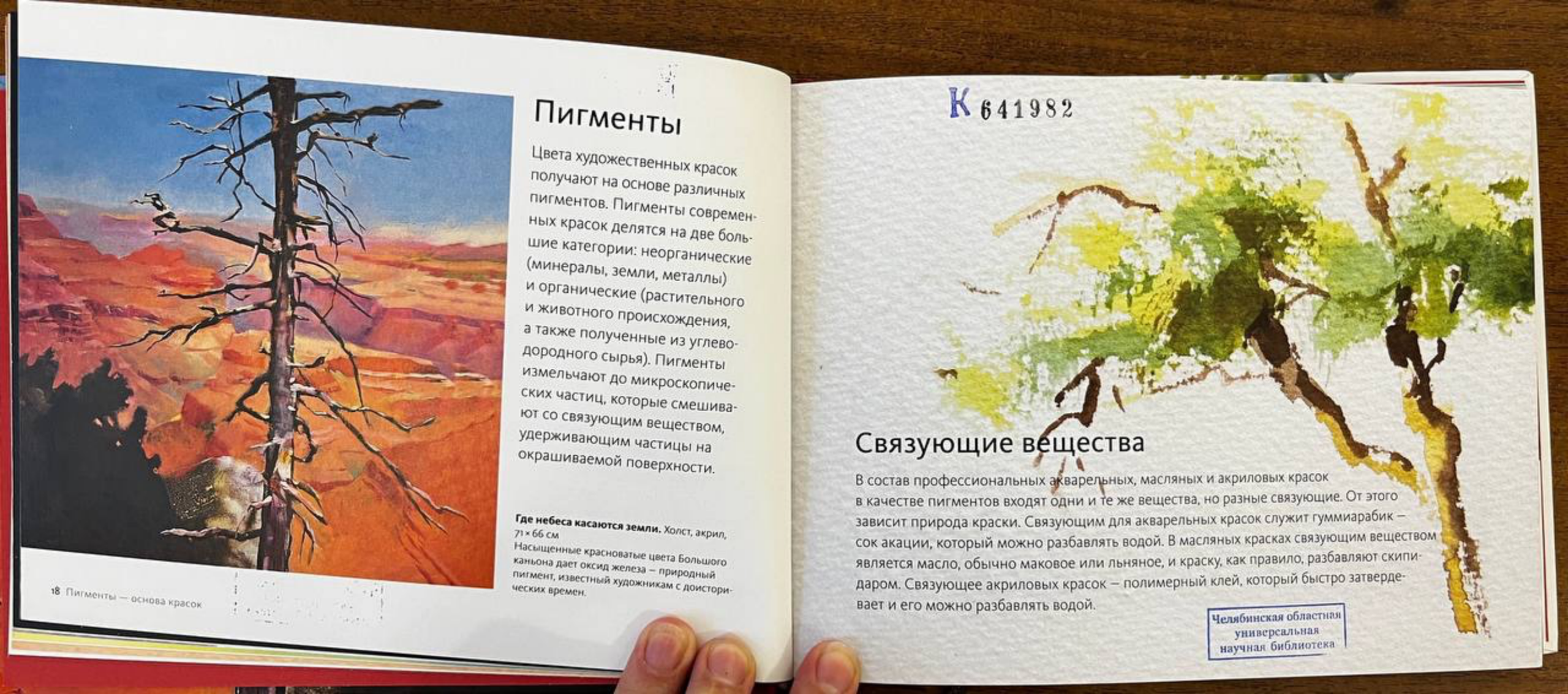 图片[11]-T1071-海泽尔·索恩学会用彩色绘画 | Хэйзел Соун Научится рисовать в цвете-爱画画的卷心菜