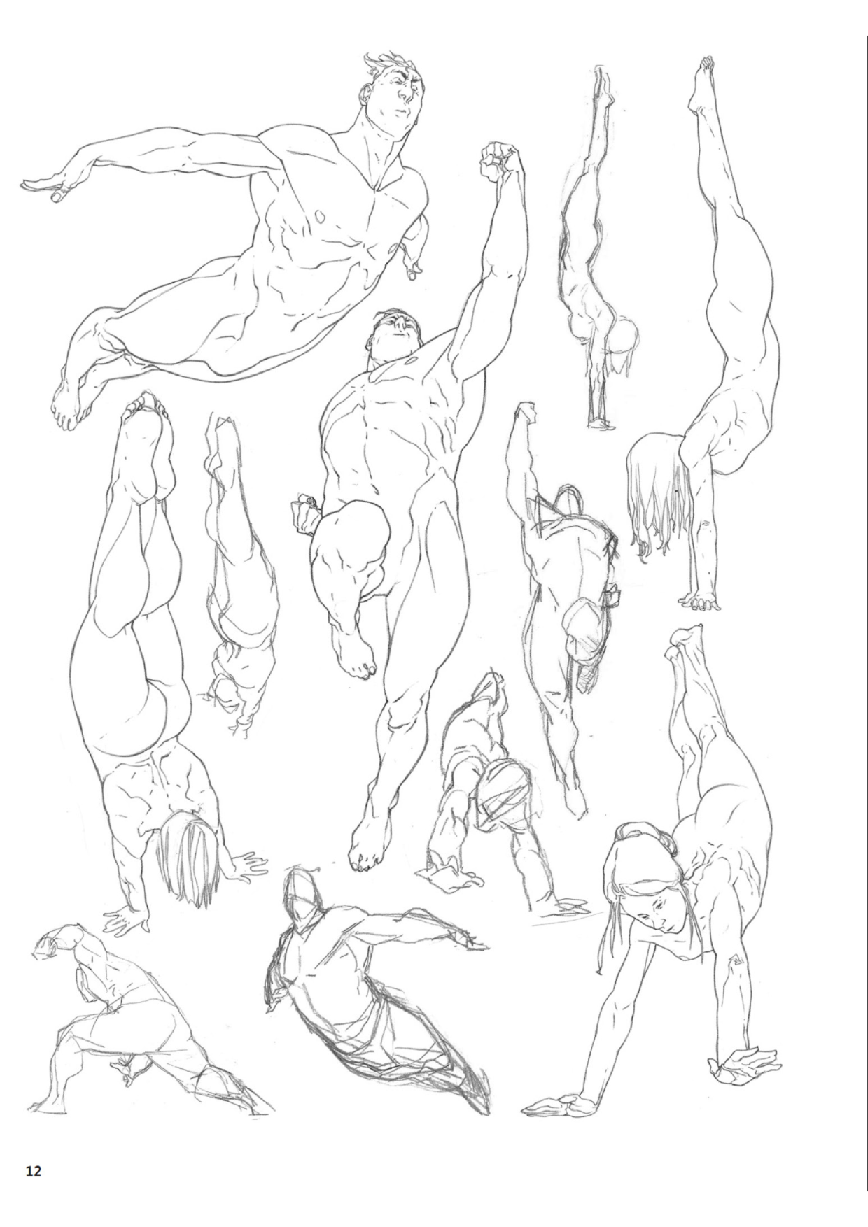 图片[12]-T1140-解剖大师 | Masters of Anatomy-爱画画的卷心菜