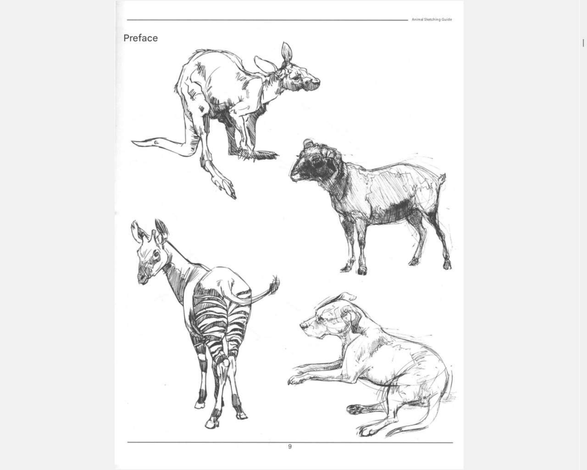 图片[12]-T1256-《Weatherly动物绘画指南》 | Weatherly guide of Animal Drawing-爱画画的卷心菜